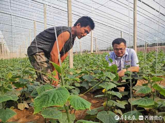 莘县农商银行：架起钢架棚 奔上致富路