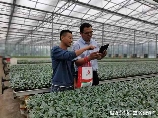 莘县农商银行：架起钢架棚 奔上致富路