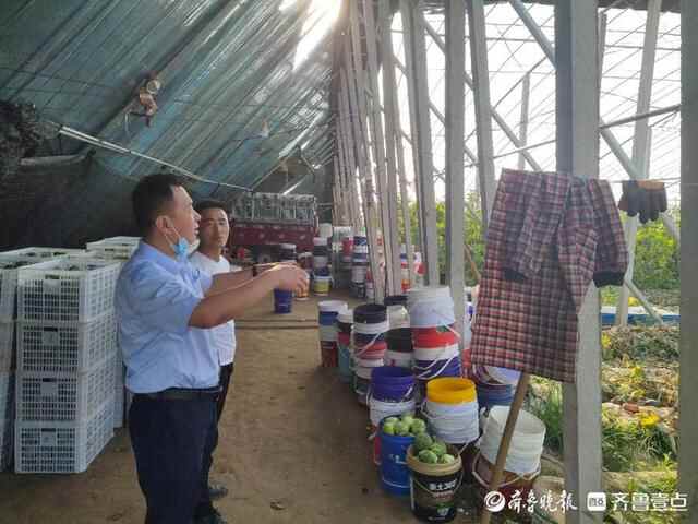 莘县农商银行：架起钢架棚 奔上致富路