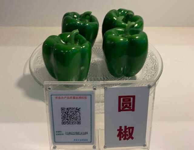 牵手腾讯，一个莘县西红柿的数字化之路