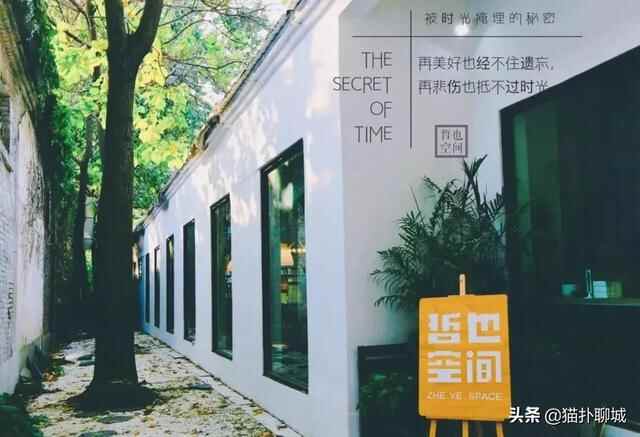 12小时聊城美食之旅，从早吃到晚