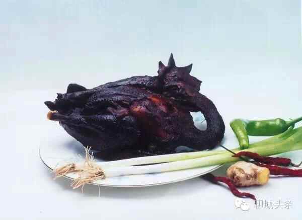 吃遍聊城！我带着你，你带着钱，你一定要带着钱啊！