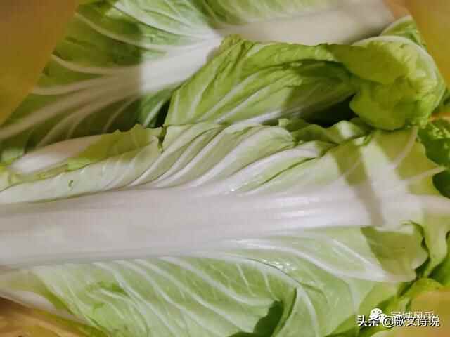 冠县酥肉、代庄粉皮、沙家酱，汇聚家乡味道