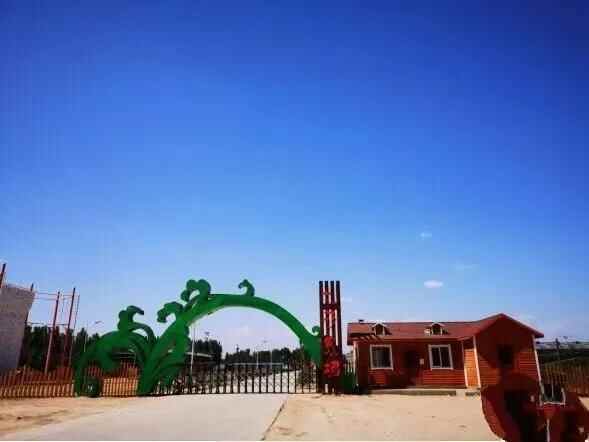 疫情五一不远游，冠县6处满足你旅游欲望的地方