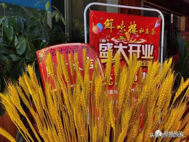 冠县味道·鲜味楼私房菜