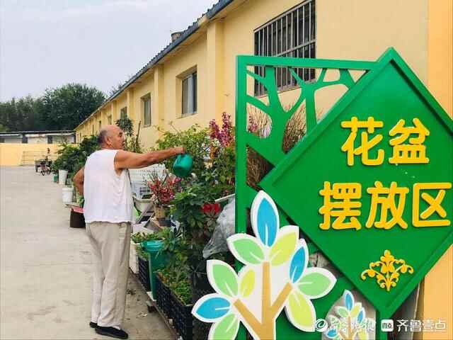 提升品质，城市换新颜！滨城区为“高品质生活”筑牢基石