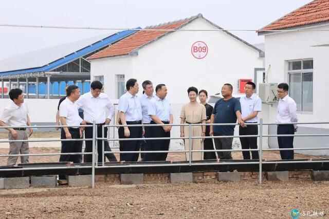 山东省农担公司党委书记、董事长张安民来沾化区调研