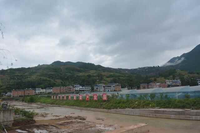 山东滨州：产业合作路径宽，鲁渝协作硕果连