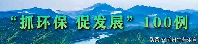 “抓环保 促发展”100例 | 滨城区擦亮黄河生态名片 铸造黄河流域生态新区