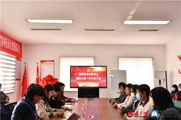 惠民县“两新”领域妇联组织再添新成员