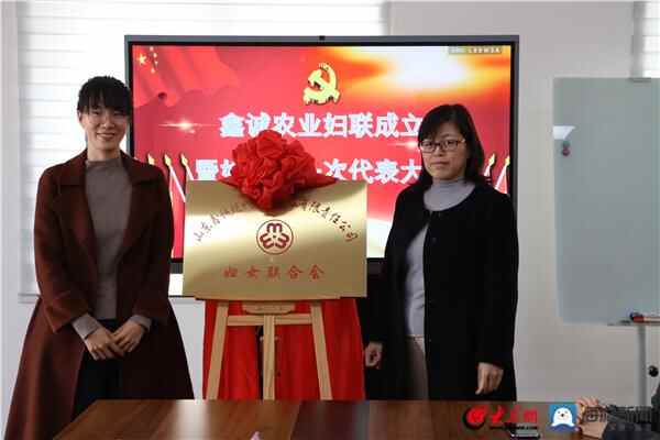 惠民县“两新”领域妇联组织再添新成员