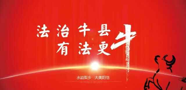 【法治牛县 有法更牛】阳信县法治政府建设系列之十五