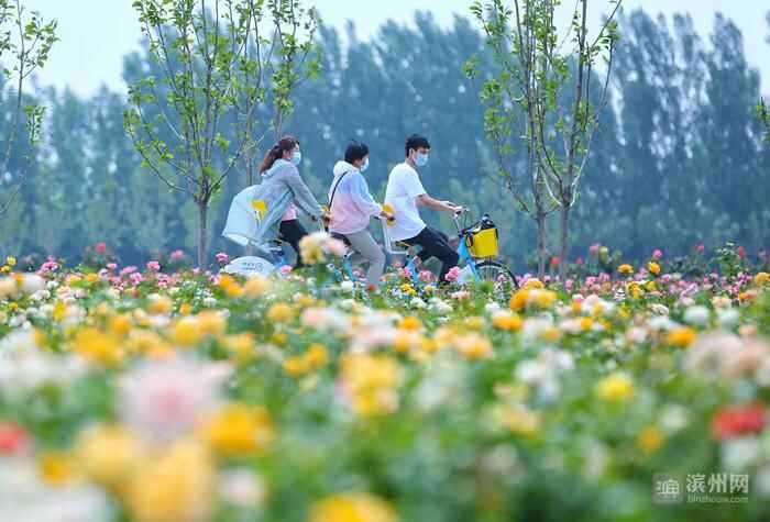 全面小康 奋进山东｜这些领域，滨州做到了“全国之最”“全省第一”