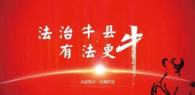 阳信县法治政府建设系列之二十二