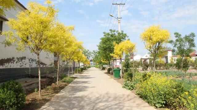 山东邹平市：微改造 大提升“四小园”建设点缀美丽乡村