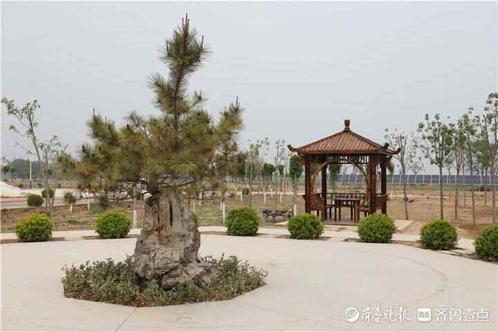 阳信县东毛村：全县最后通电村如今就像美丽城市社区