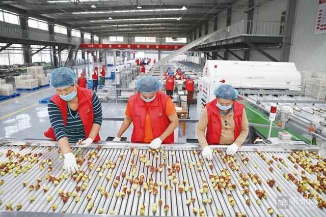 沾化区点燃“六部引擎”新旧动能转换迸发强大动力