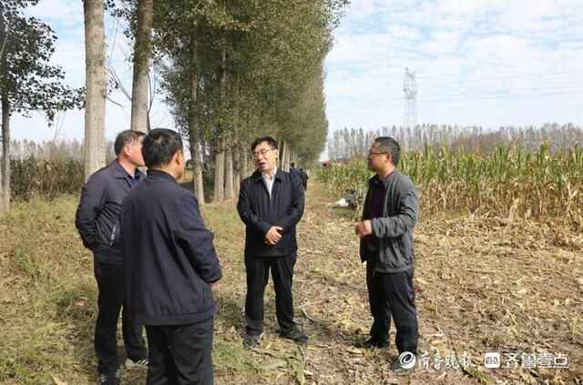 惠民县委副书记、县长刘卫忠调研指导辛店镇秋收秋种工作
