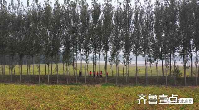 博兴县委书记高志国实地调度黄河防汛工作