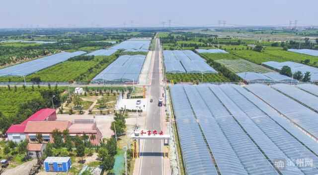 探寻沾化区经济高质量发展密码：创新集聚壮大主导产业 强链补链加速动能转换