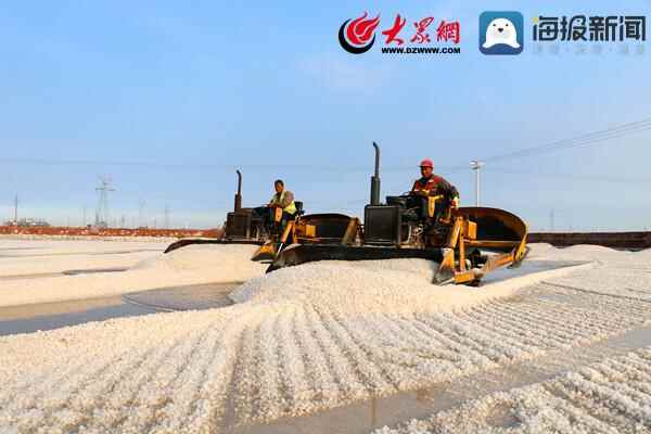 滨州市沾化区：集中光伏盘活闲置土地 绿色模式实现集体增收