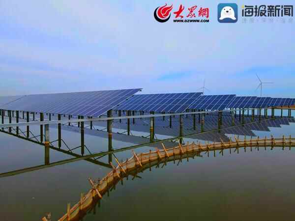 滨州市沾化区：集中光伏盘活闲置土地 绿色模式实现集体增收