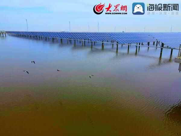 滨州市沾化区：集中光伏盘活闲置土地 绿色模式实现集体增收