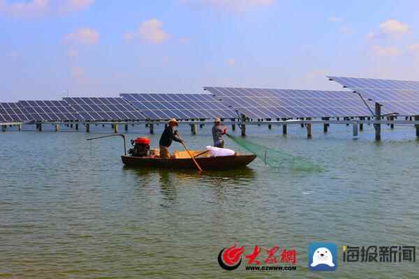 滨州市沾化区：集中光伏盘活闲置土地 绿色模式实现集体增收