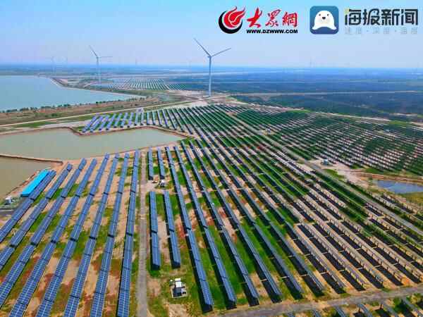 滨州市沾化区：集中光伏盘活闲置土地 绿色模式实现集体增收