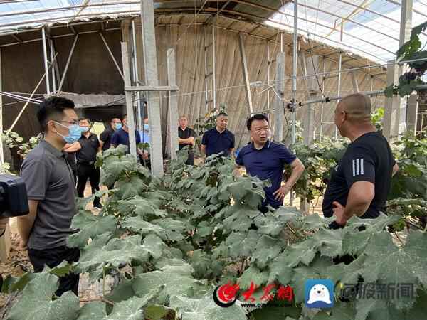 惠民县桑落墅镇：“擂台比武”点燃乡村振兴“党建引擎”