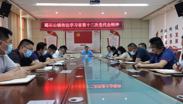 无棣县碣石山镇召开重点工作专题推进会议