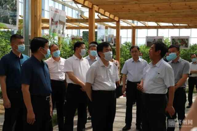市领导到沾化区调研基层人大工作