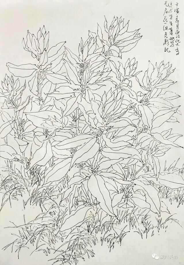 滨州市美术家协会写生创作基地在沾化区薛家村落成