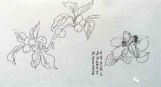 滨州市美术家协会写生创作基地在沾化区薛家村落成