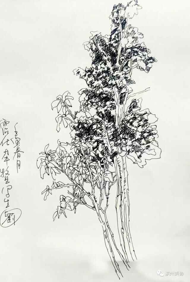 滨州市美术家协会写生创作基地在沾化区薛家村落成