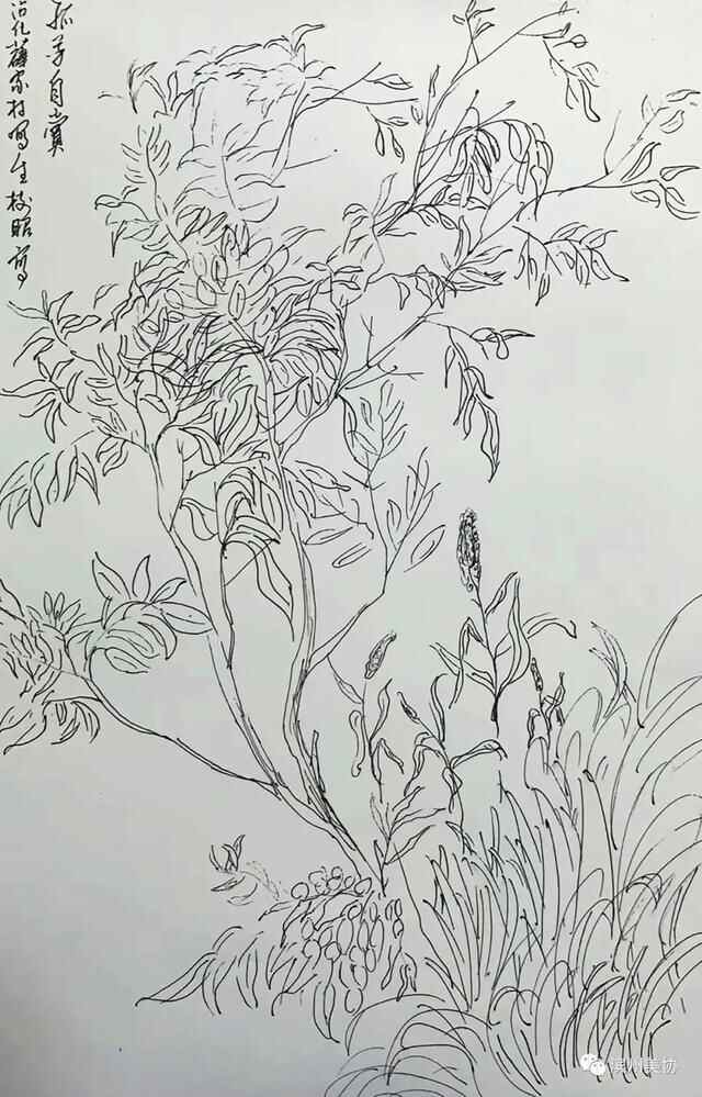 滨州市美术家协会写生创作基地在沾化区薛家村落成