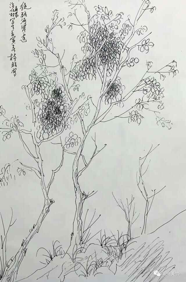 滨州市美术家协会写生创作基地在沾化区薛家村落成