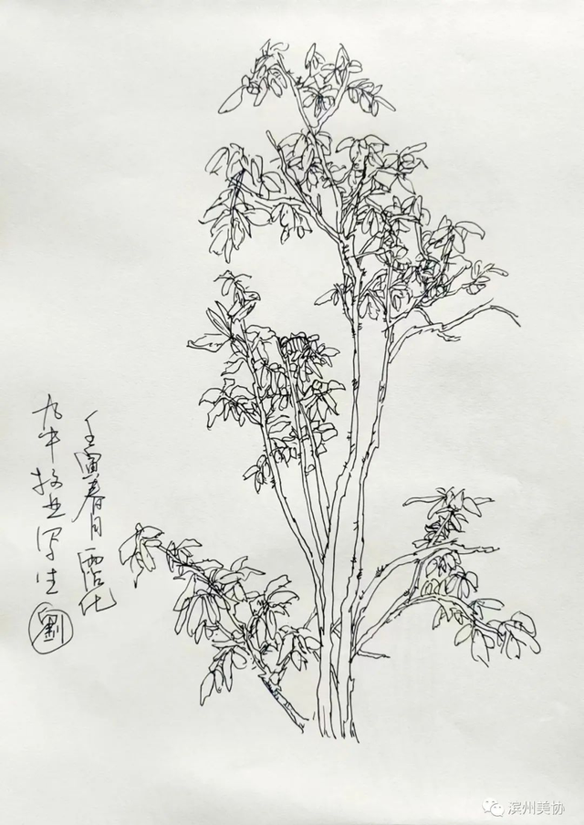 滨州市美术家协会写生创作基地在沾化区薛家村落成