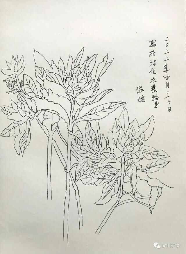 滨州市美术家协会写生创作基地在沾化区薛家村落成
