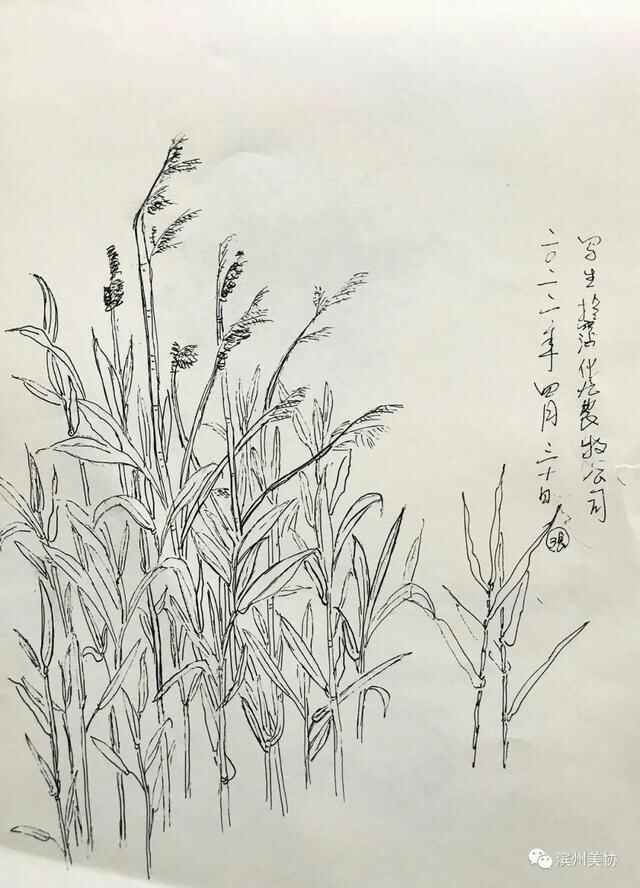 滨州市美术家协会写生创作基地在沾化区薛家村落成