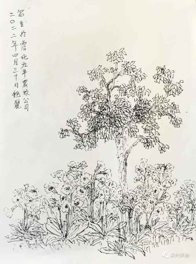 滨州市美术家协会写生创作基地在沾化区薛家村落成