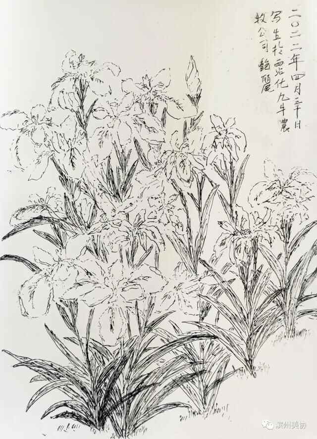 滨州市美术家协会写生创作基地在沾化区薛家村落成