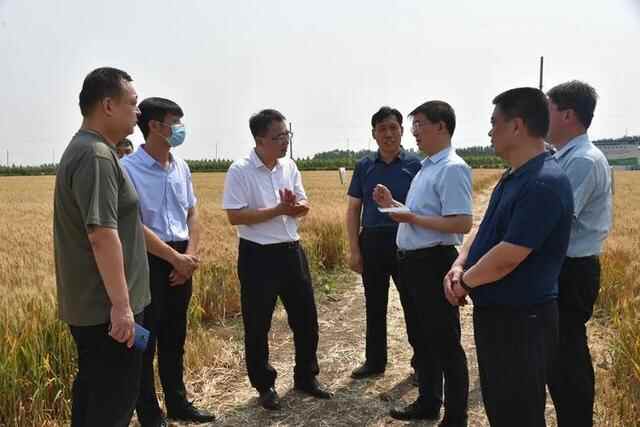 邹平市副市长李群督导“三夏”生产