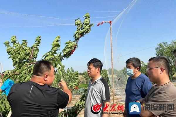 无棣县信阳镇召开“第一书记”工作例会