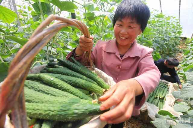 滨城区三河湖“清爽壹夏 乐在田园”系列消夏活动开始啦