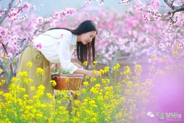 山东人游滨州 | 被花香萦绕的滨州，竟然这么美！