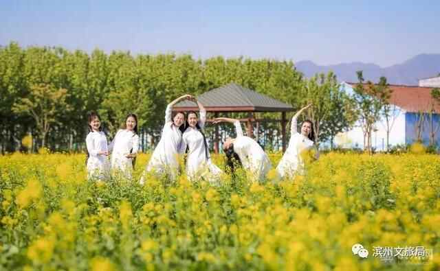 山东人游滨州 | 被花香萦绕的滨州，竟然这么美！