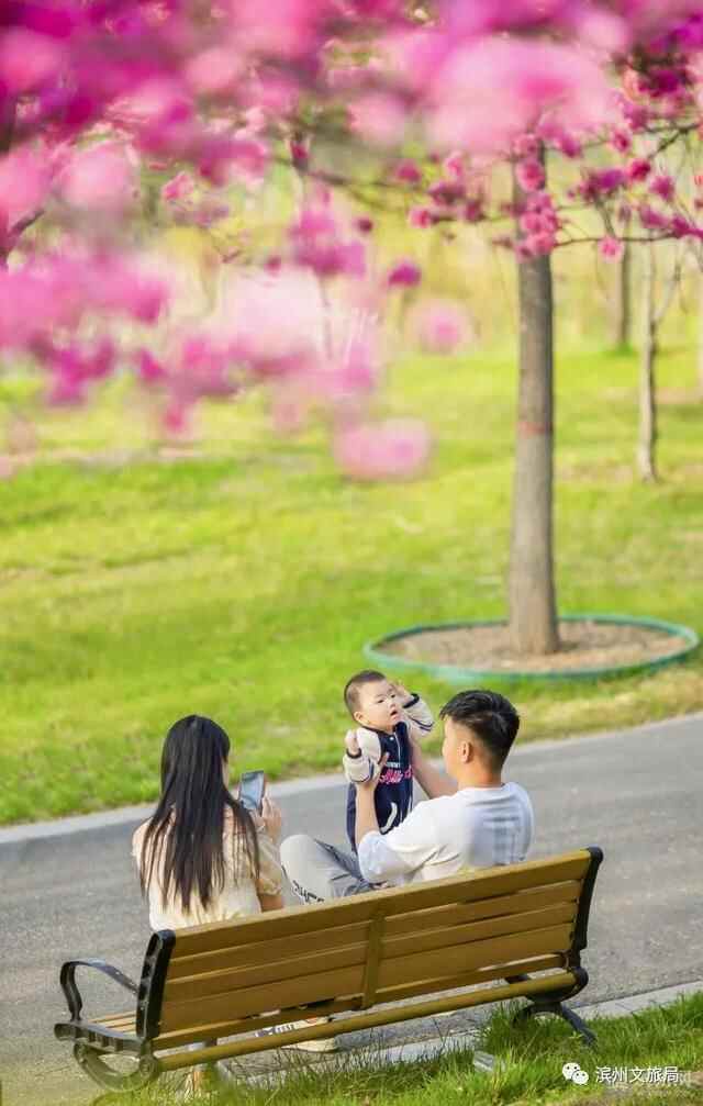 山东人游滨州 | 被花香萦绕的滨州，竟然这么美！