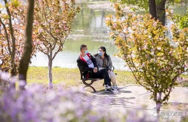 山东人游滨州 | 被花香萦绕的滨州，竟然这么美！