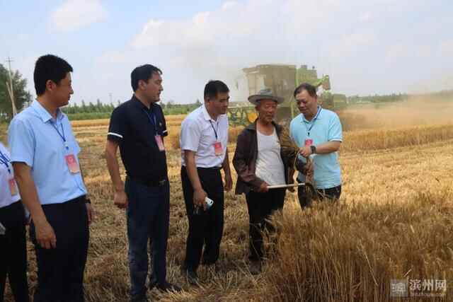沾化区黄升镇人大：督导三夏生产和秸秆禁烧工作